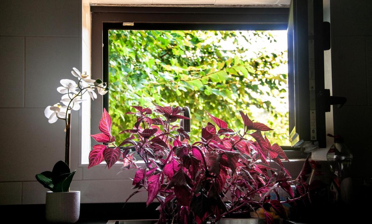 Casa D'Mina Vendégház Redondela Kültér fotó